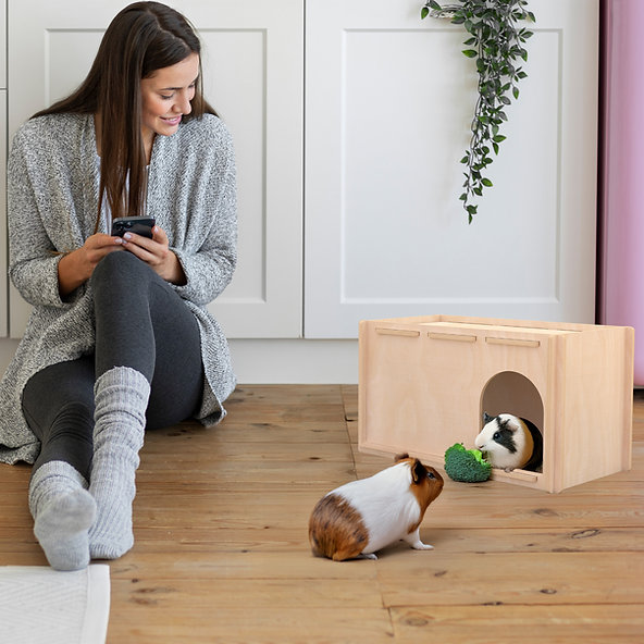 bunnySHELTER - Image 2
