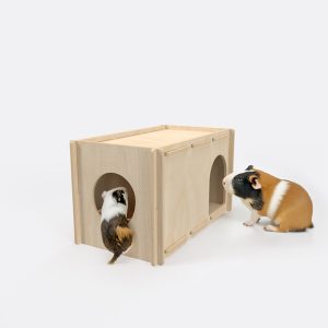 bunnySHELTER