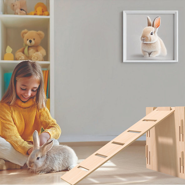 bunnyRAMP - Image 2