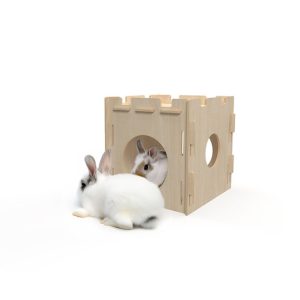 bunnyLITTLEHOUSE