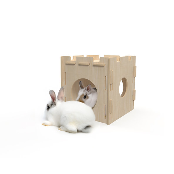bunnyLITTLEHOUSE
