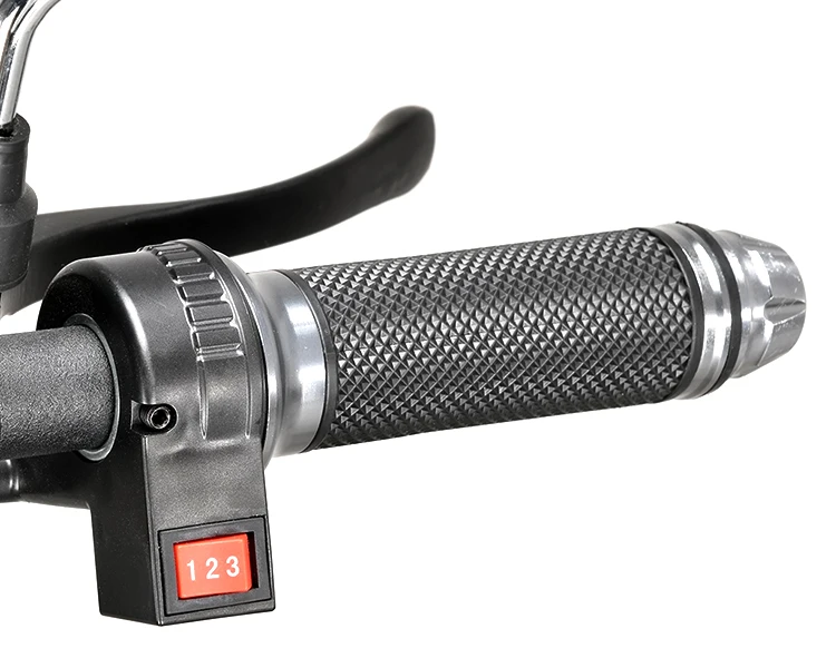 Citycoco Motociclo Elétrico - Image 6