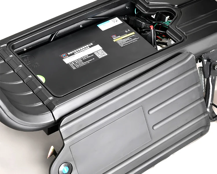 Citycoco Motociclo Elétrico - Image 2