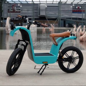 Maria Bike Estrada
